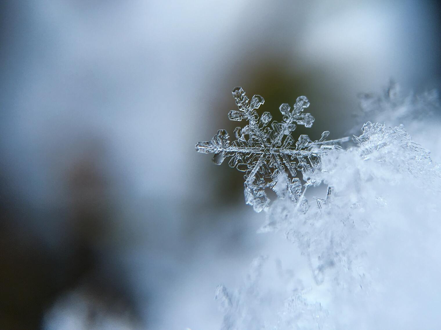 El invierno - Vocabulario español de las estaciones | Vocabulario