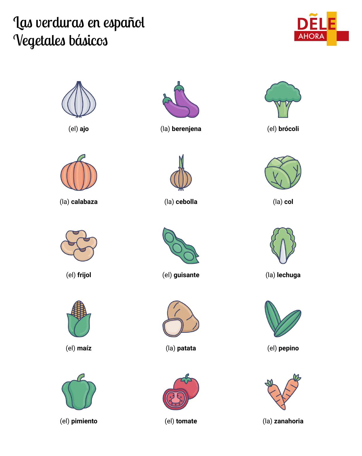 Las Verduras En Español Vegetales Básicos Vocabulario